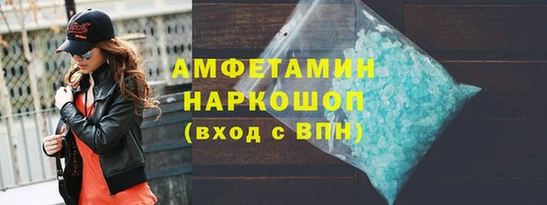 индика Дмитров