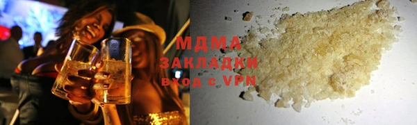 индика Дмитров