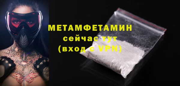 индика Дмитров