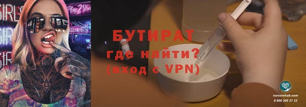 индика Дмитров