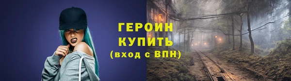 индика Дмитров