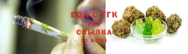 индика Дмитров