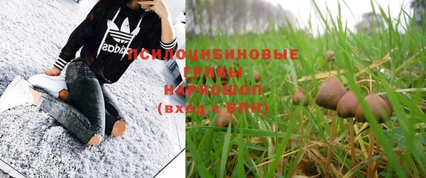 mdma Дмитровск