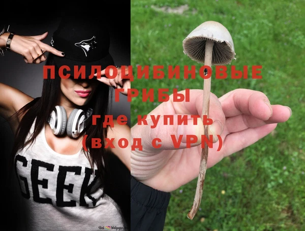 mdma Дмитровск