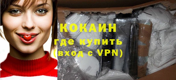 индика Дмитров