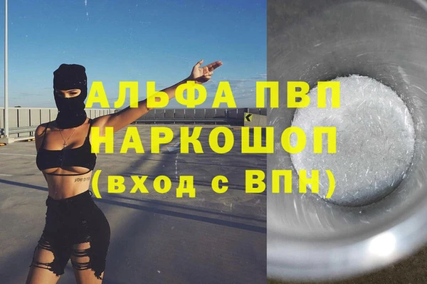 индика Дмитров