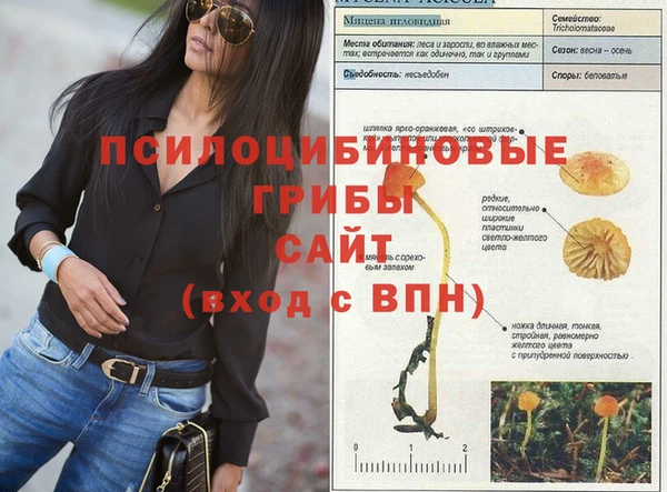 индика Дмитров