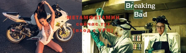 индика Дмитров