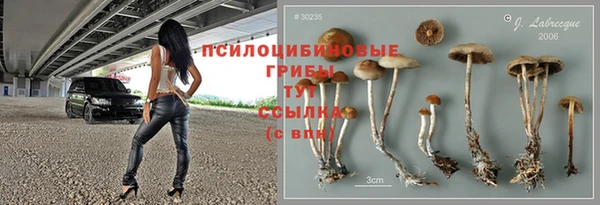 индика Дмитров