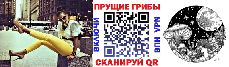 Псилоцибиновые грибы Psilocybine cubensis  Купить закладки  Петухово 